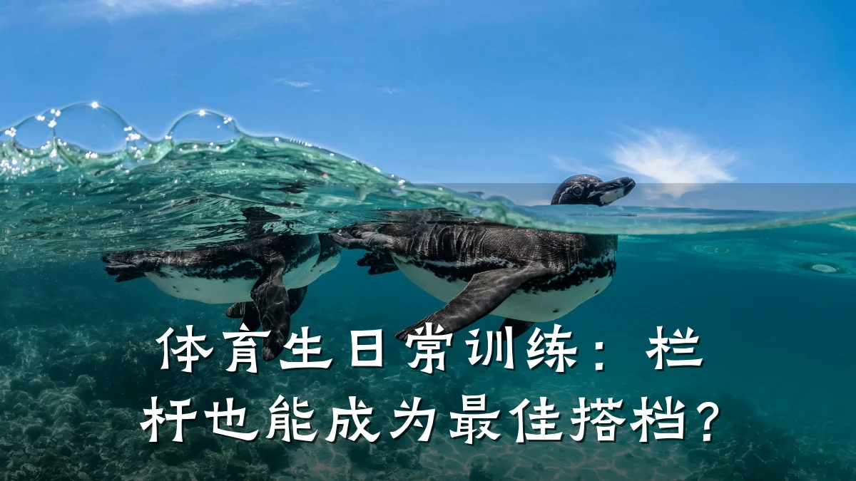 体育生日常训练：栏杆也能成为最佳搭档？
