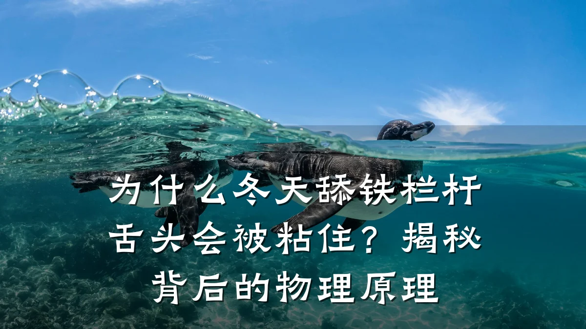 为什么冬天舔铁栏杆舌头会被粘住？揭秘背后的物理原理