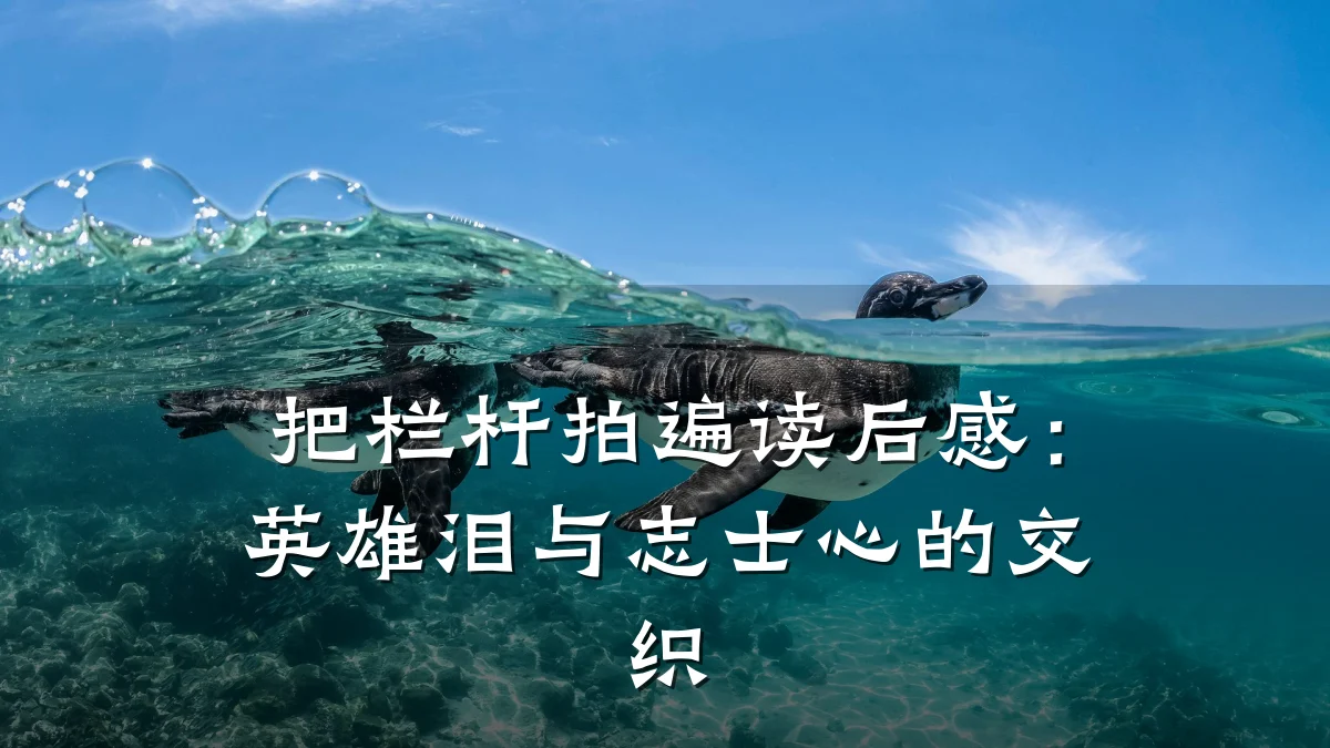 把栏杆拍遍读后感:英雄泪与志士心的交织