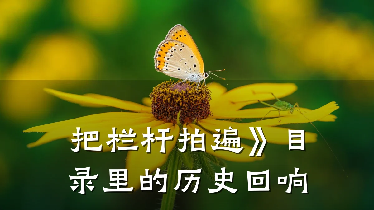 把栏杆拍遍》目录里的历史回响