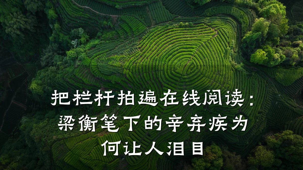 把栏杆拍遍在线阅读:梁衡笔下的辛弃疾为何让人泪目