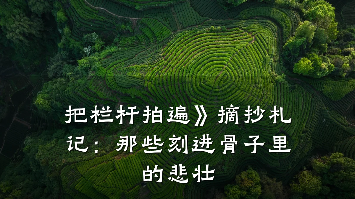 把栏杆拍遍》摘抄札记:那些刻进骨子里的悲壮