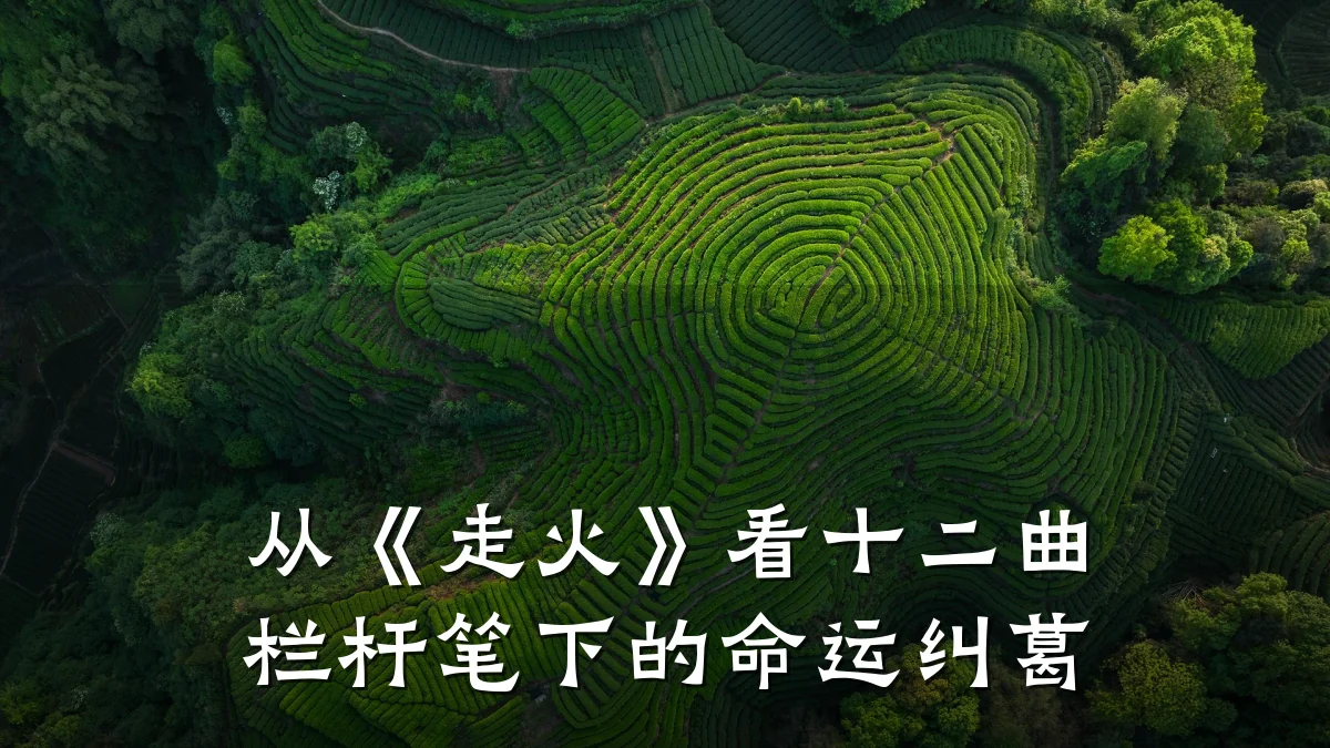 从《走火》看十二曲栏杆笔下的命运纠葛