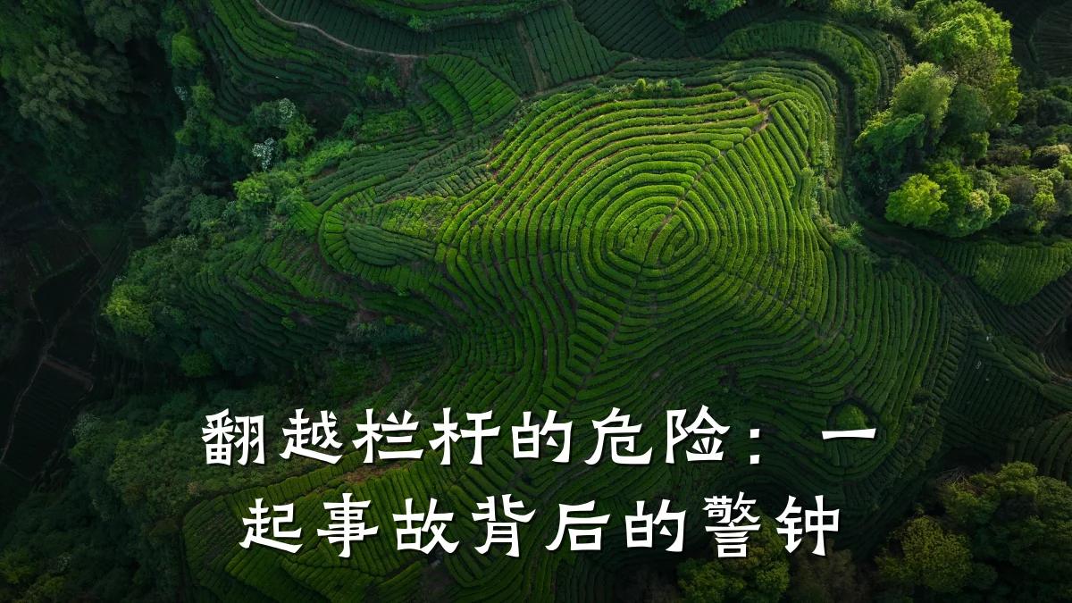 翻越栏杆的危险:一起事故背后的警钟