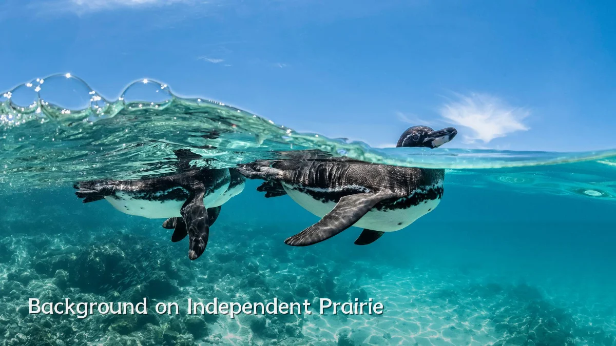 Background on Independent Prairie