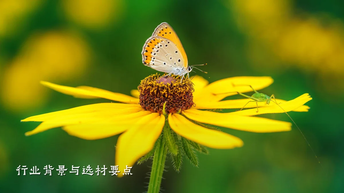 行业背景与选材要点