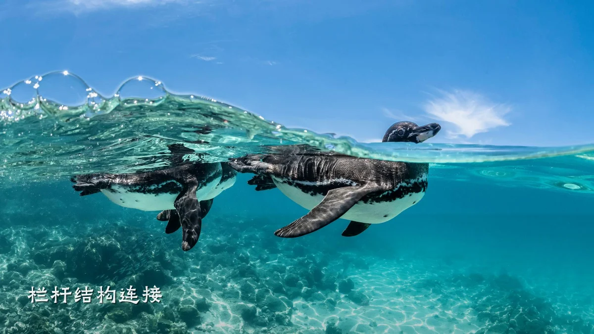 栏杆结构连接