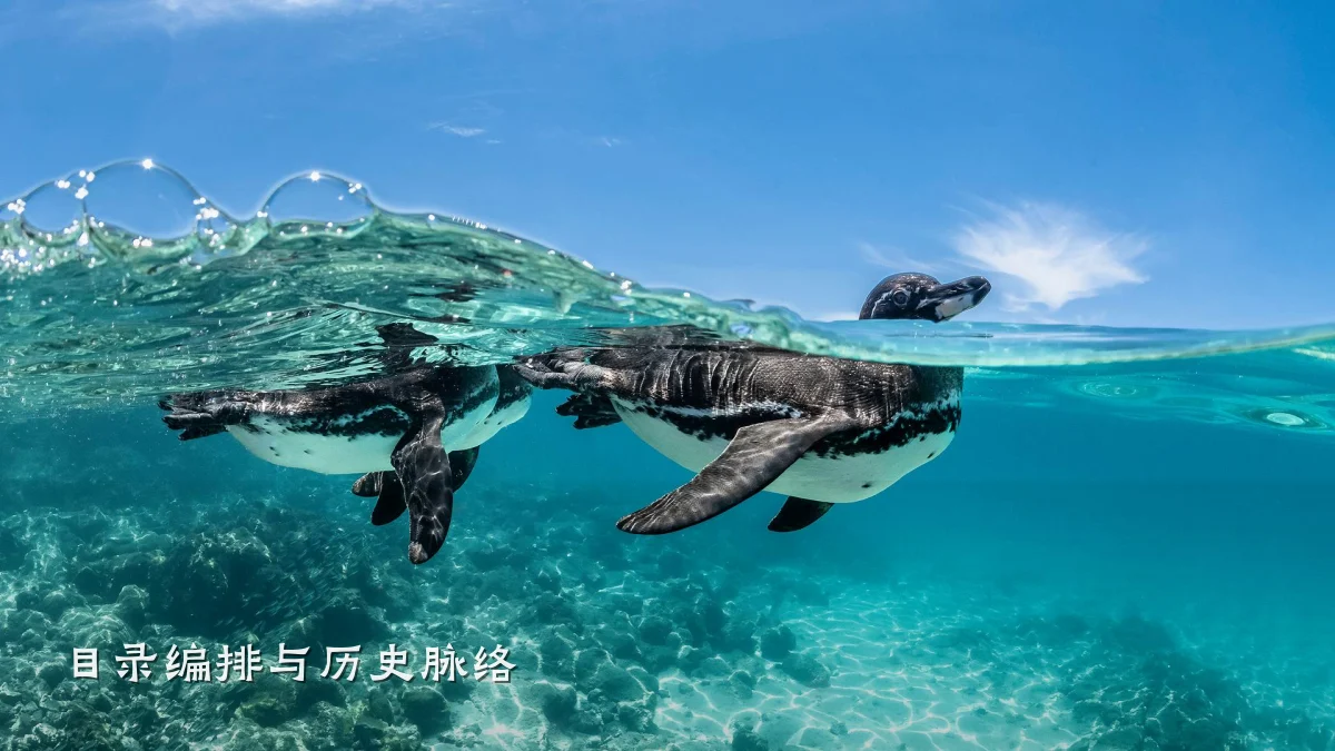 目录编排与历史脉络