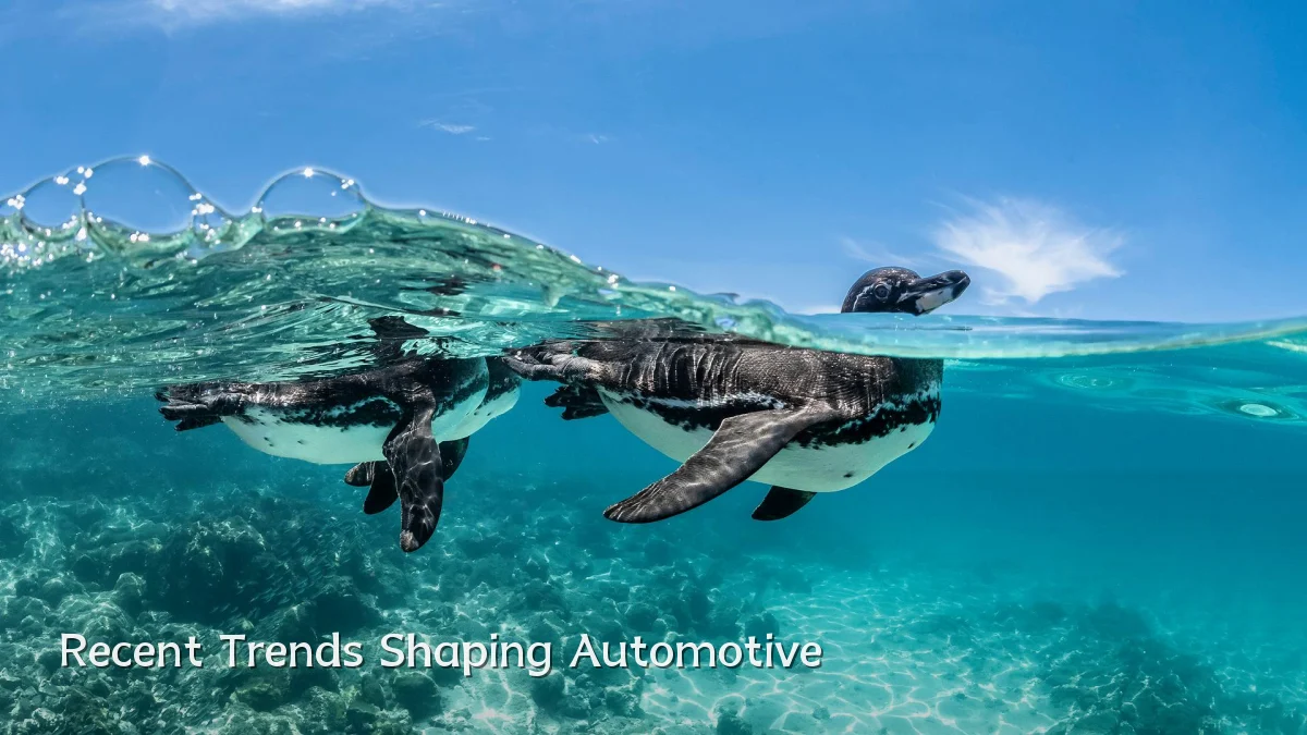 Recent Trends Shaping Automotive