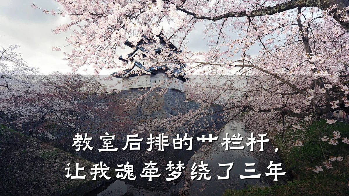 教室后排的艹栏杆,让我魂牵梦绕了三年