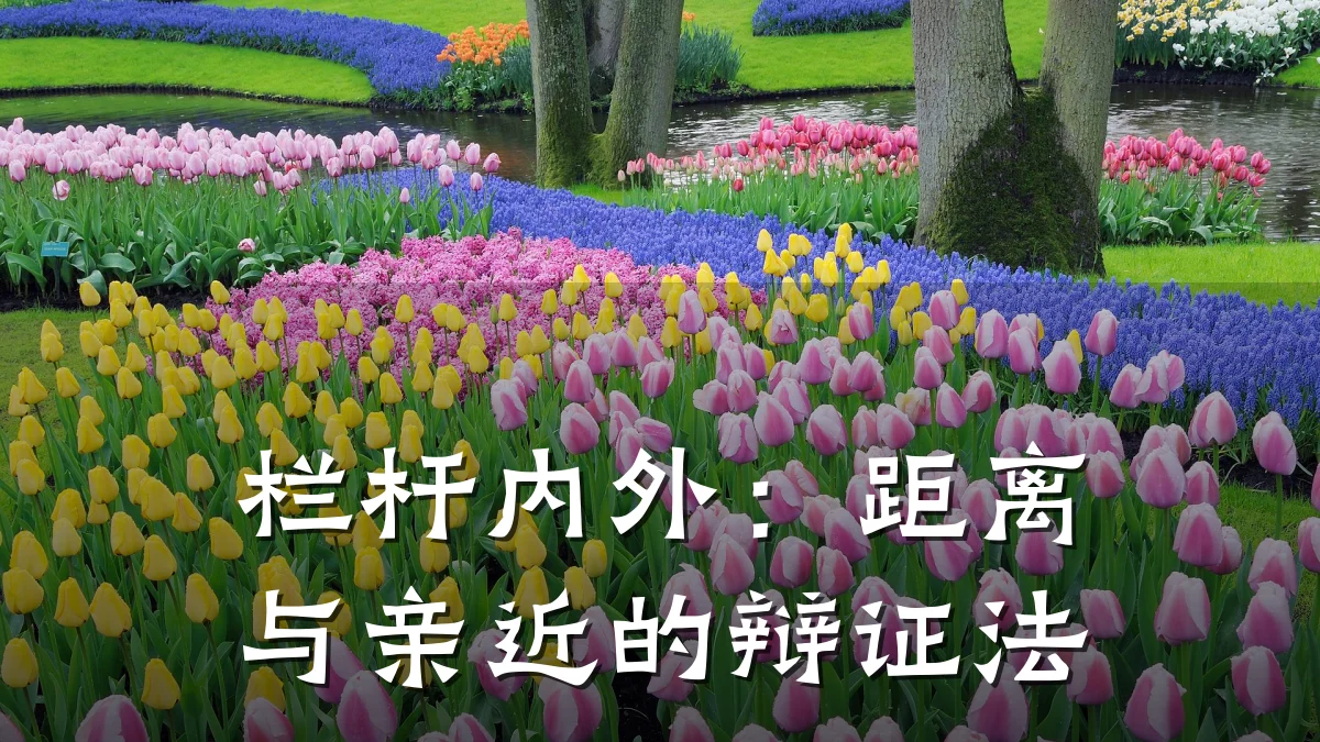 栏杆内外:距离与亲近的辩证法