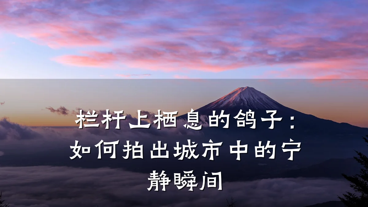 栏杆上栖息的鸽子:如何拍出城市中的宁静瞬间