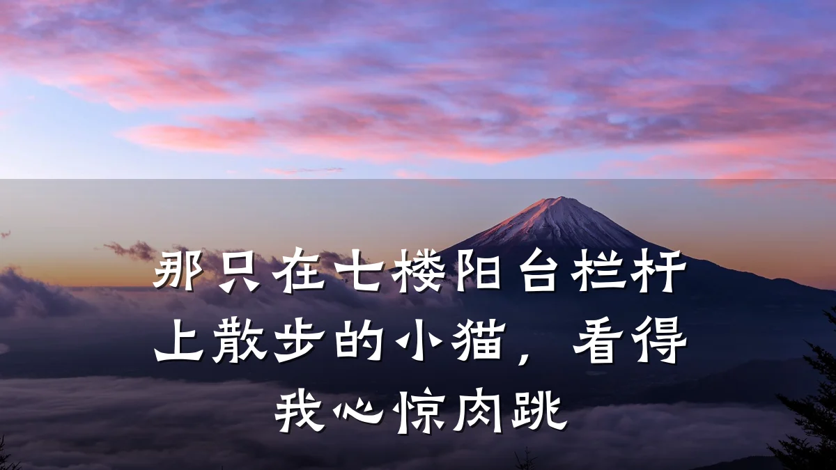 那只在七楼阳台栏杆上散步的小猫,看得我心惊肉跳