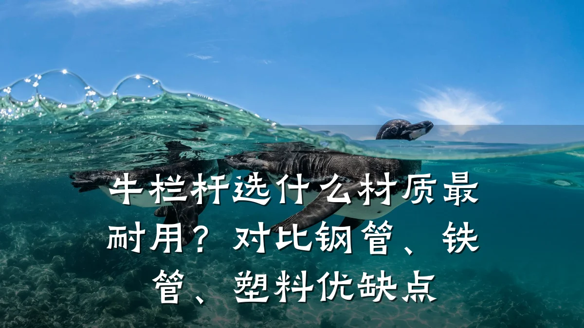 牛栏杆选什么材质最耐用?对比钢管、铁管、塑料优缺点
