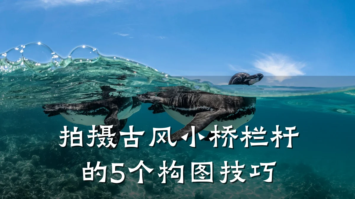 拍摄古风小桥栏杆的5个构图技巧
