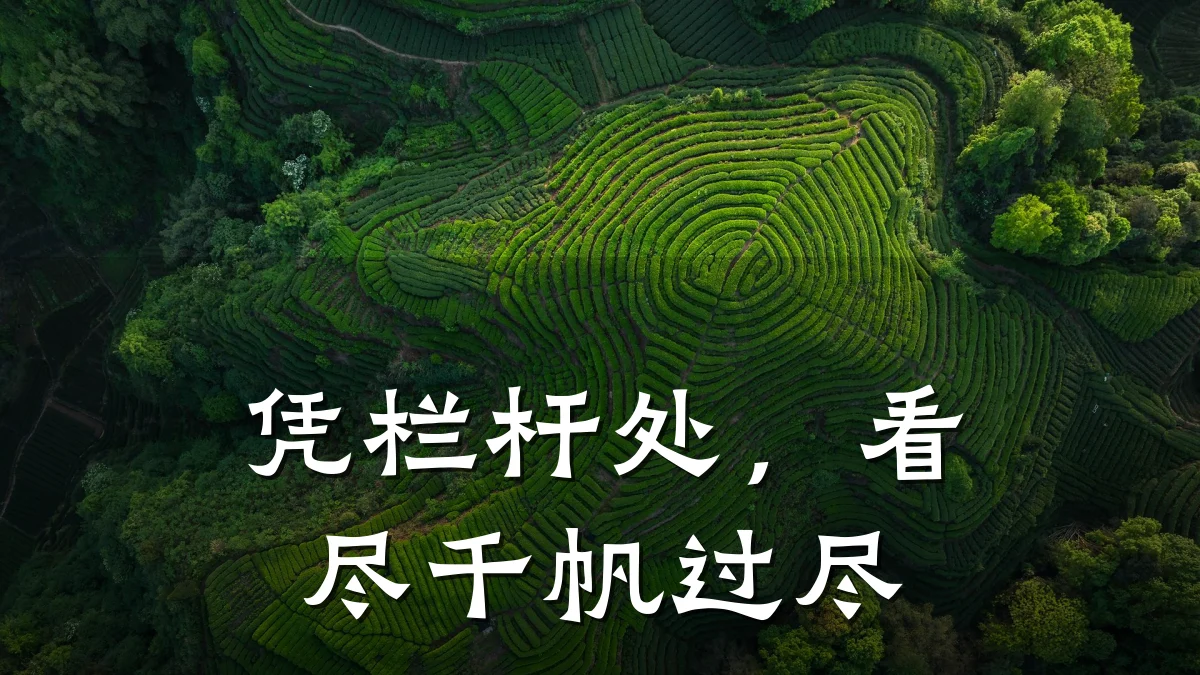 凭栏杆处,看尽千帆过尽