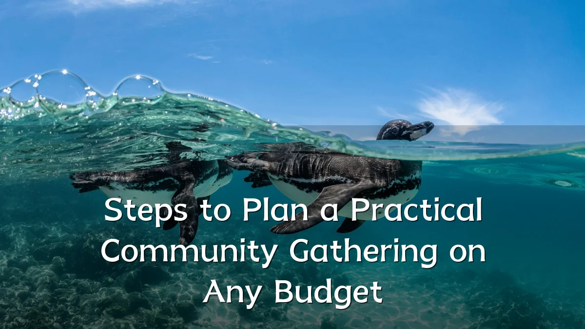 Steps to Plan a Practical Community Gathering on Any Budget
