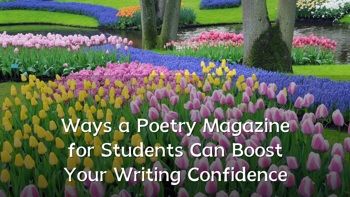 Ways a Poetry Magazine for Students Can Boost Your Writing Confidence