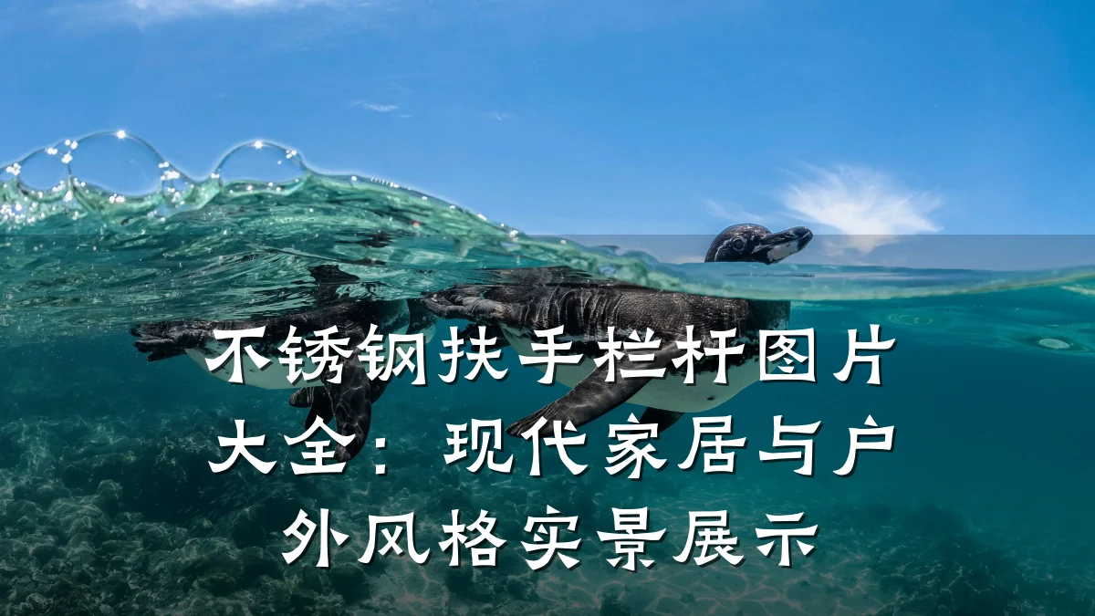 不锈钢扶手栏杆图片大全：现代家居与户外风格实景展示