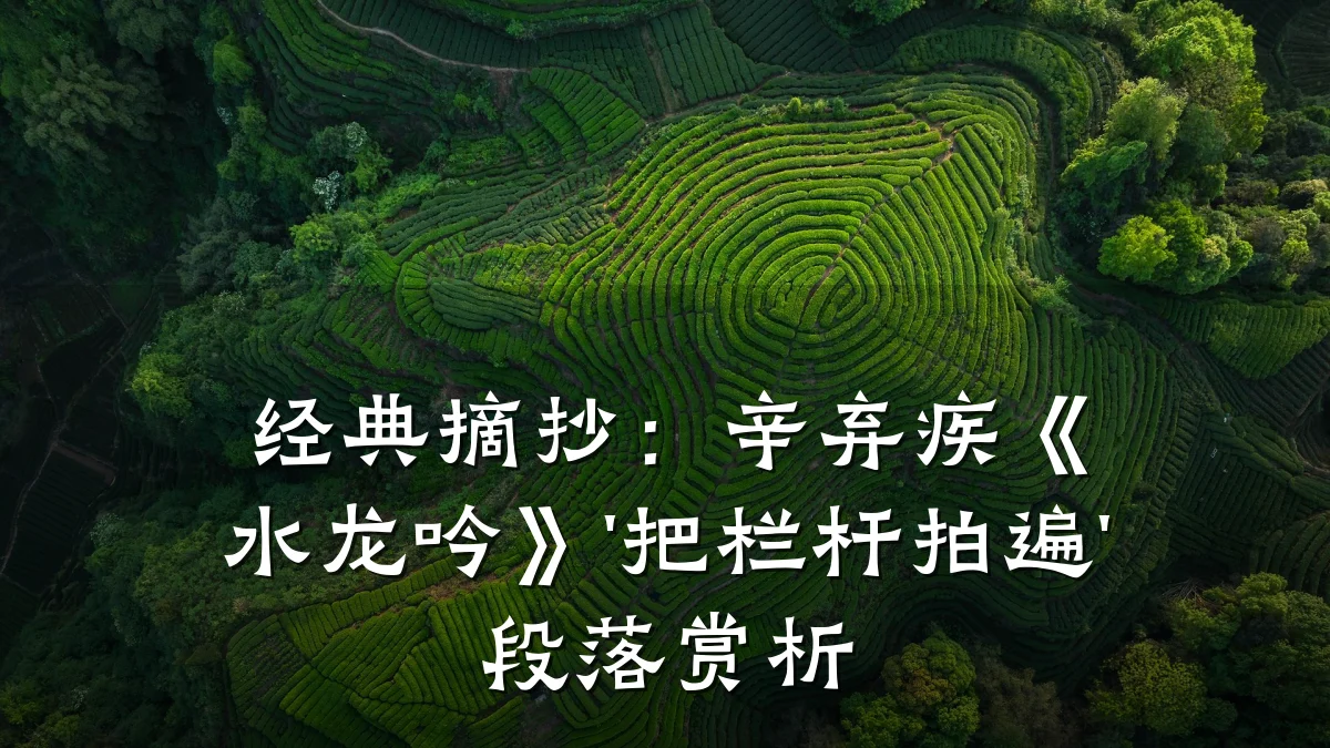 经典摘抄:辛弃疾《水龙吟》'把栏杆拍遍'段落赏析