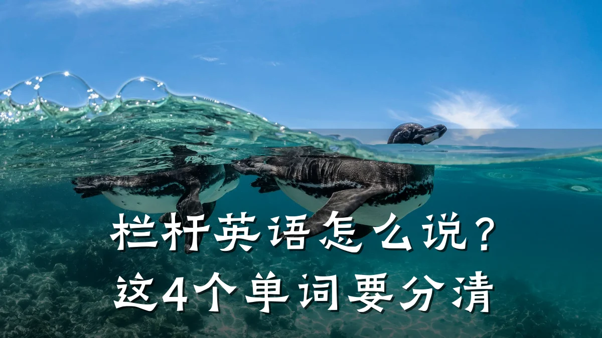 栏杆英语怎么说?这4个单词要分清