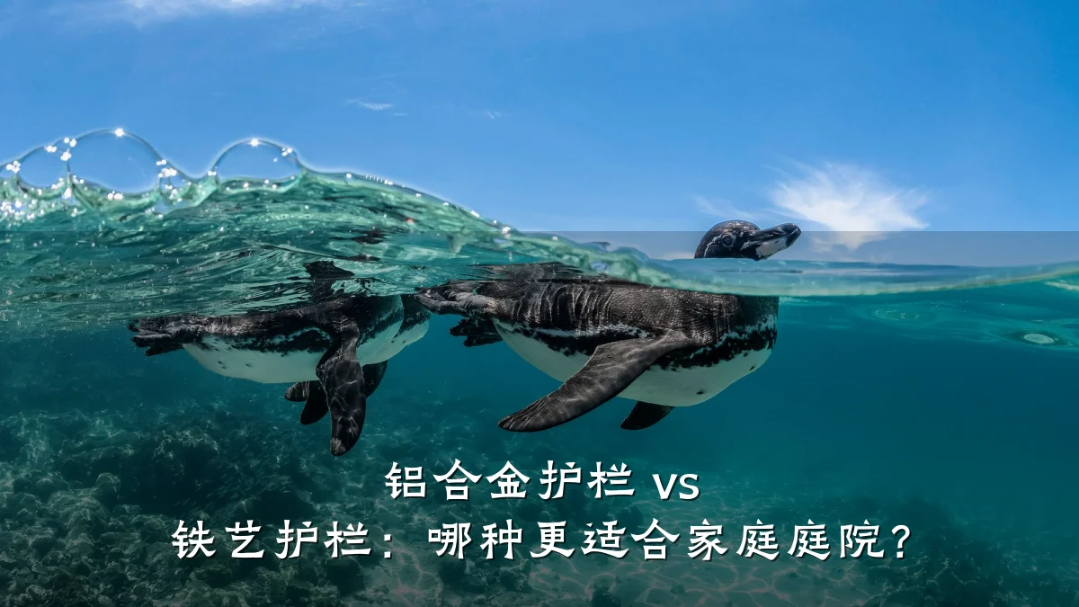 铝合金护栏 vs 铁艺护栏:哪种更适合家庭庭院?