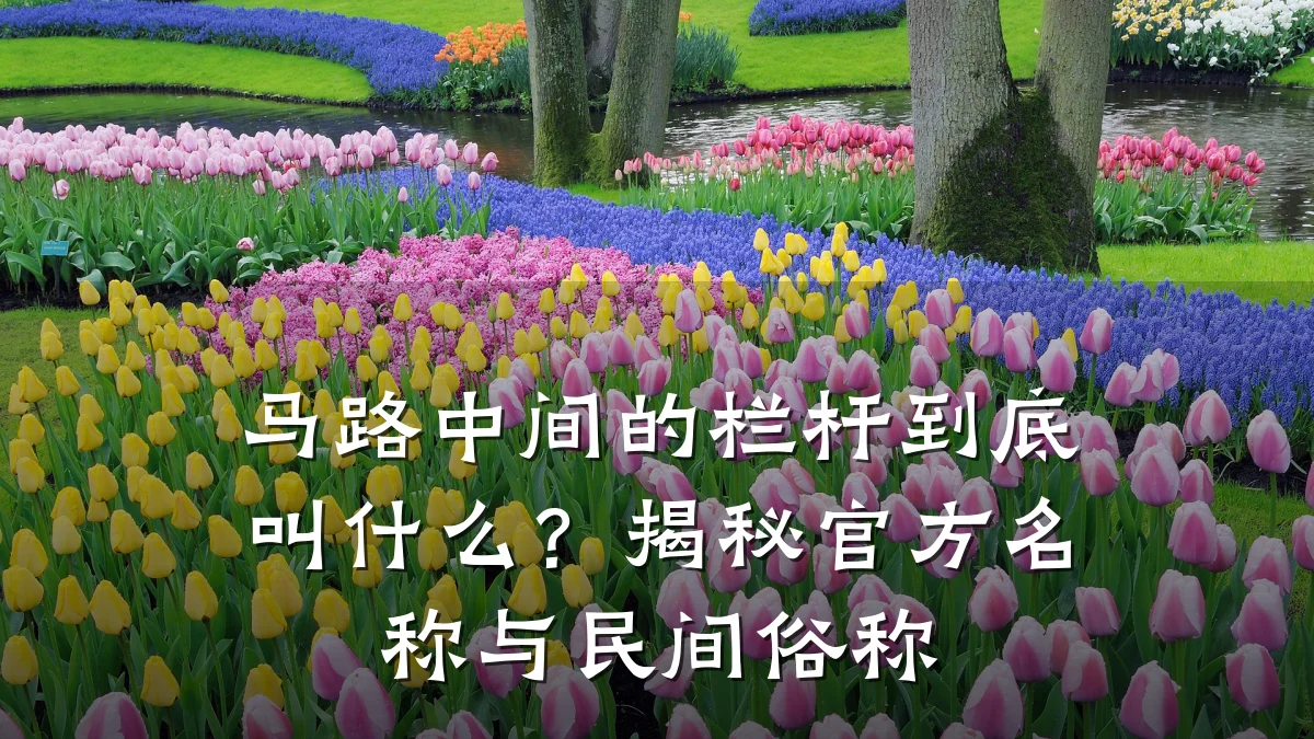 马路中间的栏杆到底叫什么?揭秘官方名称与民间俗称