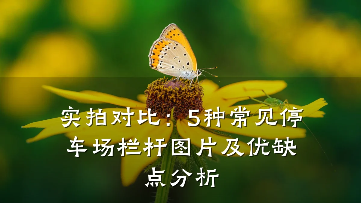 实拍对比:5种常见停车场栏杆图片及优缺点分析