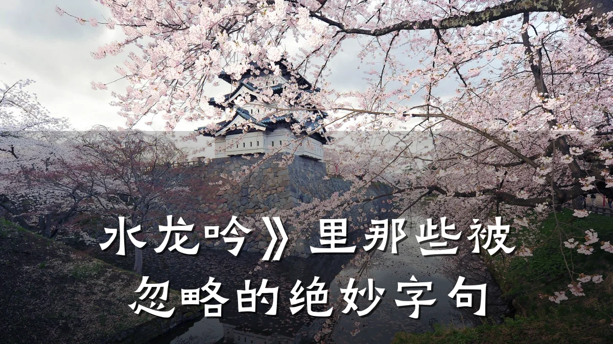 水龙吟》里那些被忽略的绝妙字句