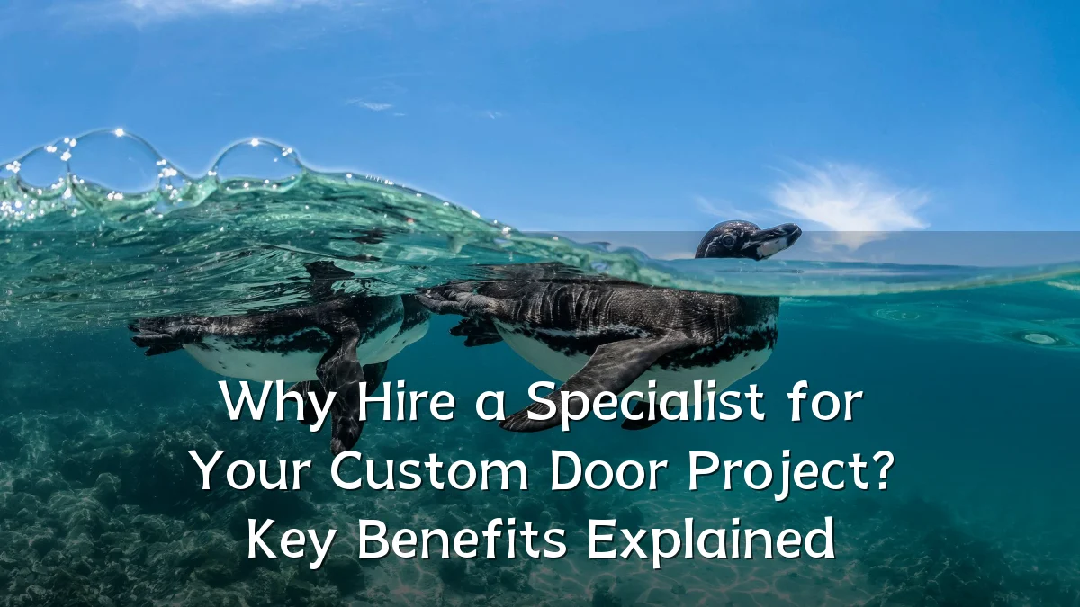 Why Hire a Specialist for Your Custom Door Project? Key Benefits Explained