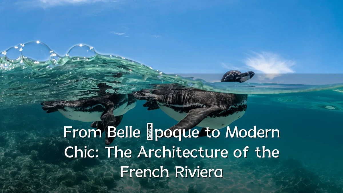 From Belle Époque to Modern Chic: The Architecture of the French Riviera