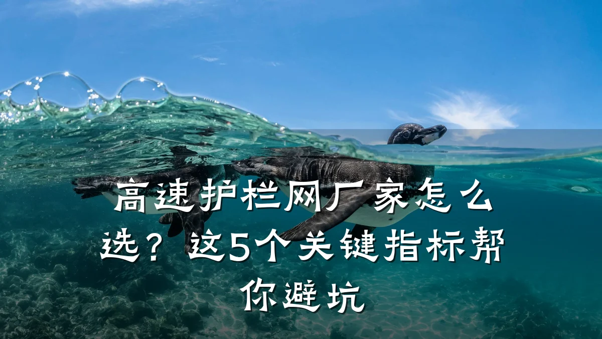 高速护栏网厂家怎么选?这5个关键指标帮你避坑