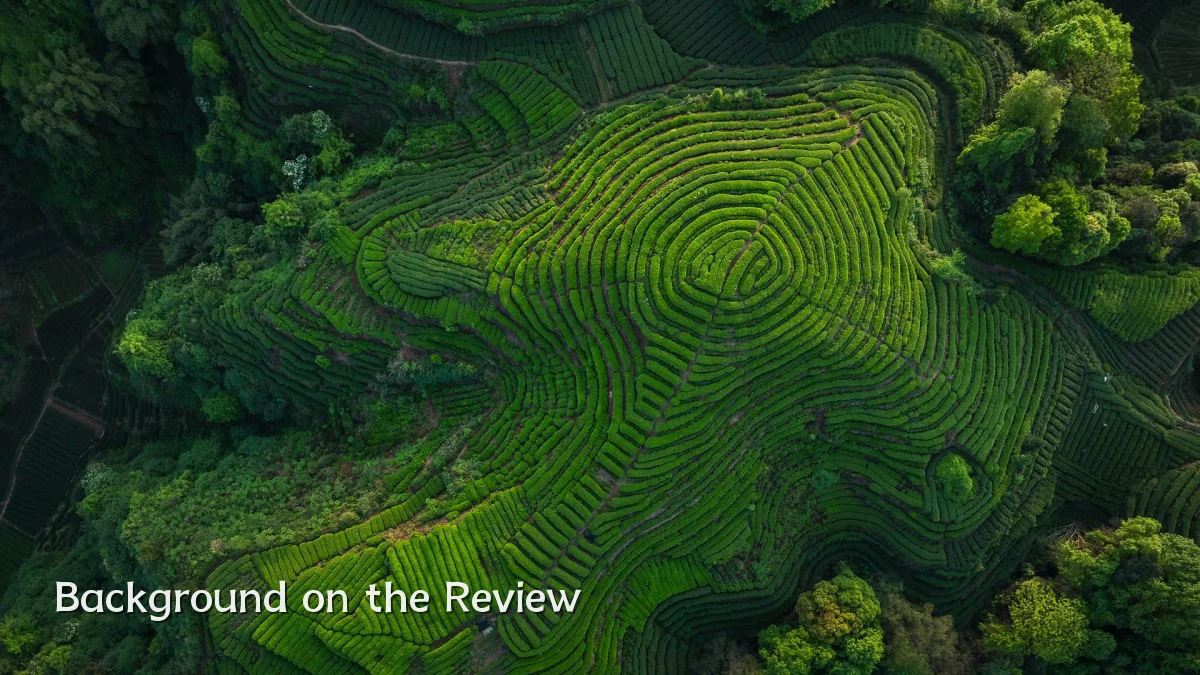 Background on the Review