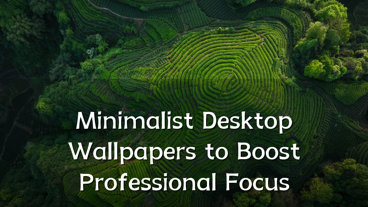 Minimalist Desktop Wallpapers to Boost Professional Focus