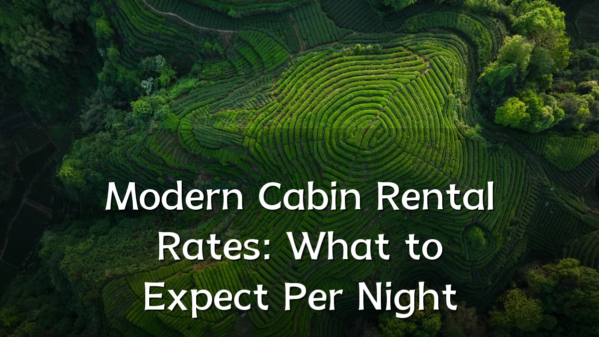 Modern Cabin Rental Rates: What to Expect Per Night