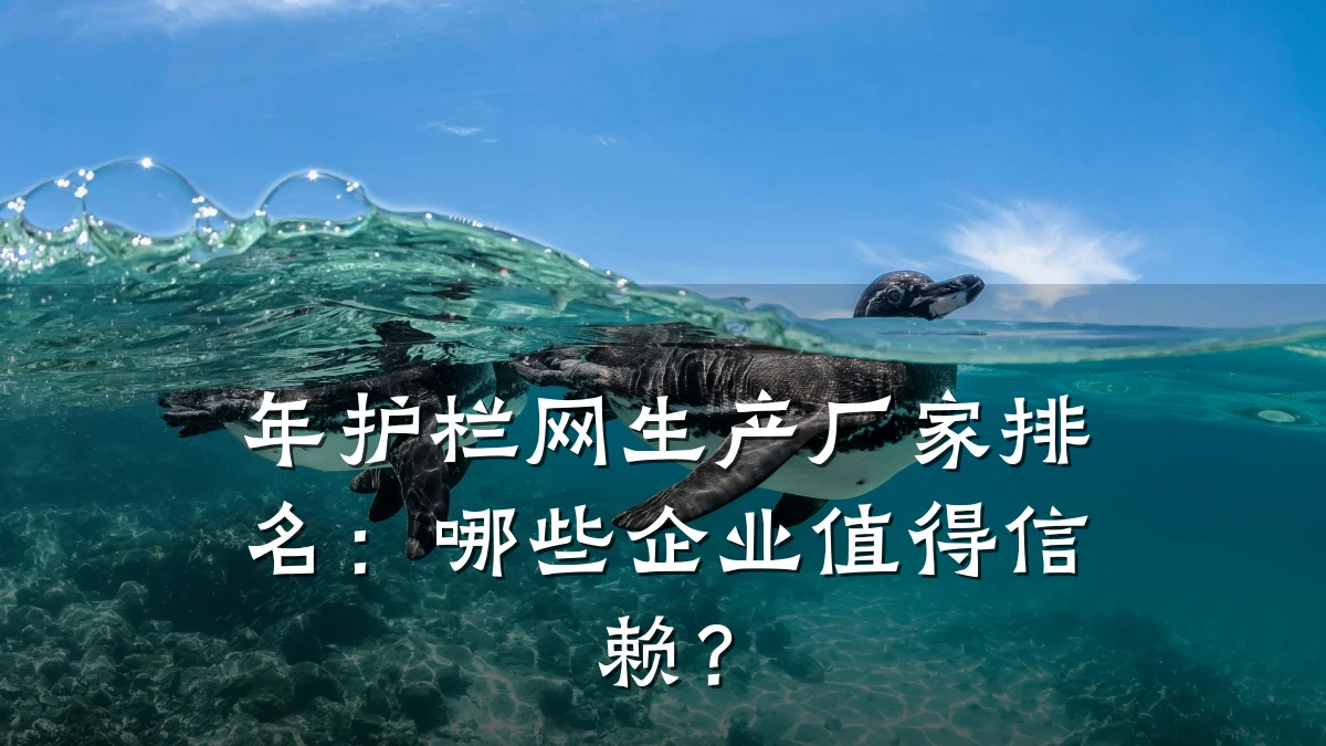 年护栏网生产厂家排名:哪些企业值得信赖?
