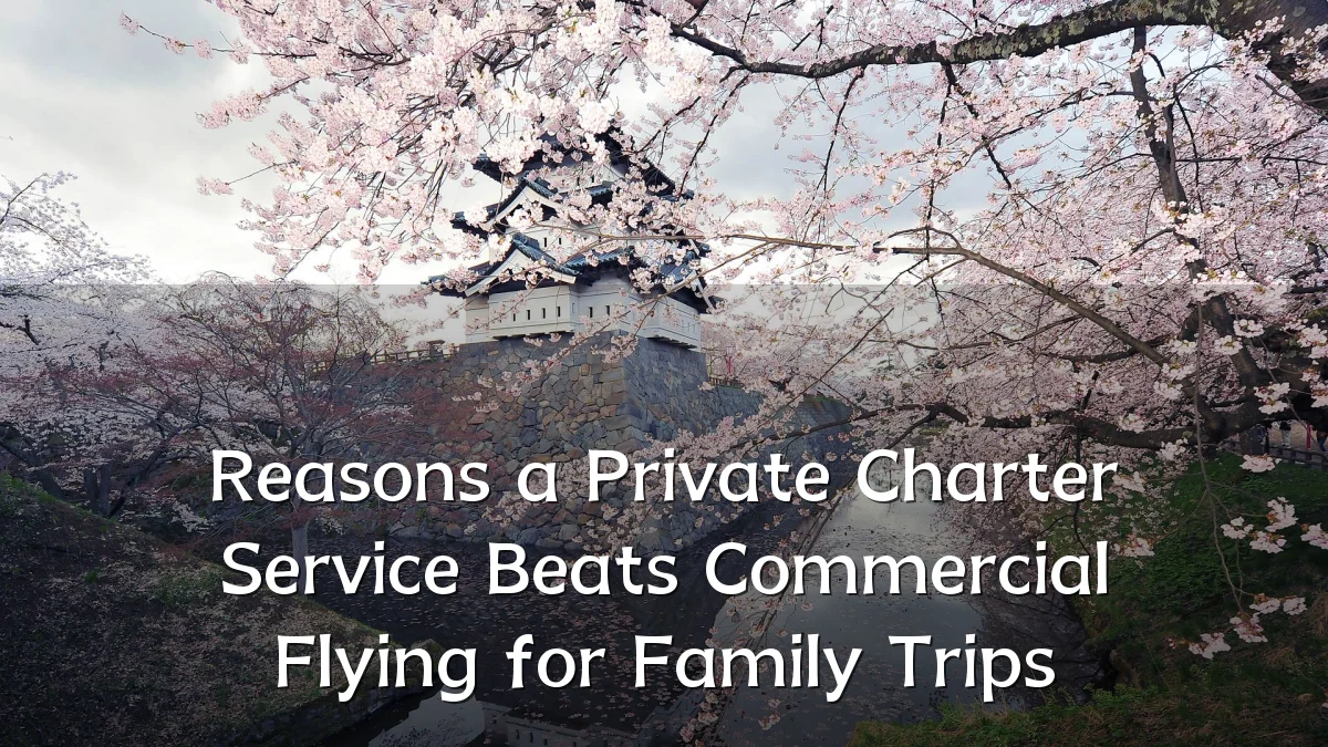 Reasons a Private Charter Service Beats Commercial Flying for Family Trips