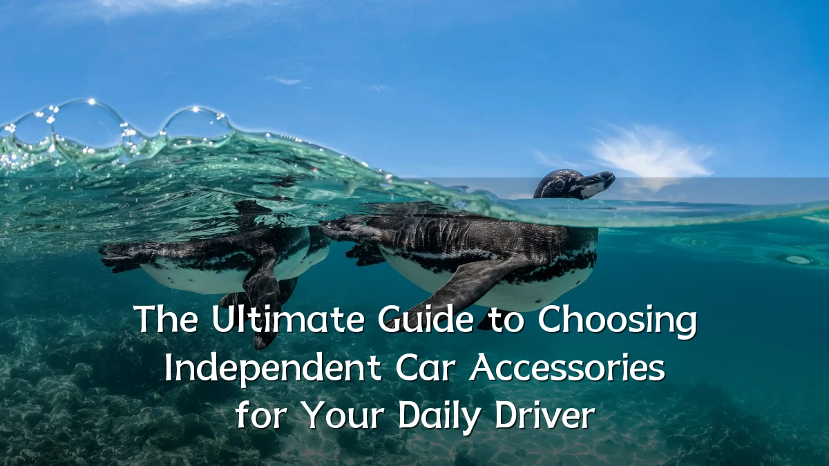 The Ultimate Guide to Choosing Independent Car Accessories for Your Daily Driver