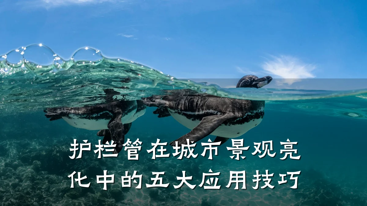 护栏管在城市景观亮化中的五大应用技巧