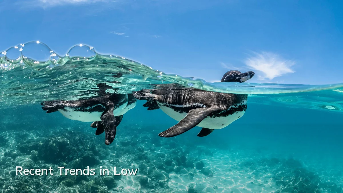 Recent Trends in Low