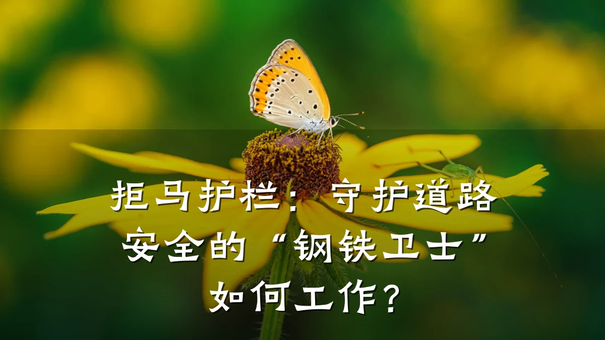 拒马护栏:守护道路安全的“钢铁卫士”如何工作?
