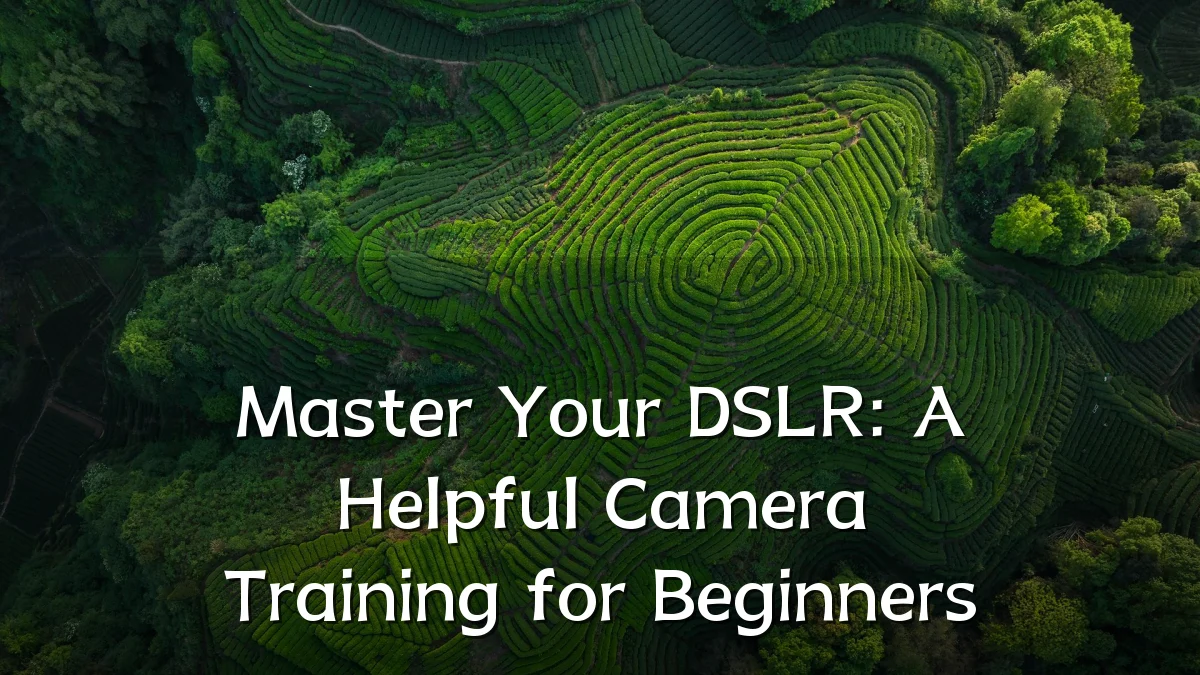 Master Your DSLR: A Helpful Camera Training for Beginners