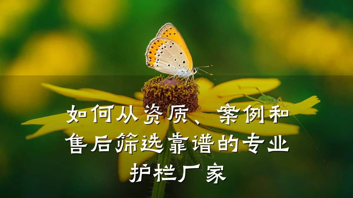如何从资质、案例和售后筛选靠谱的专业护栏厂家