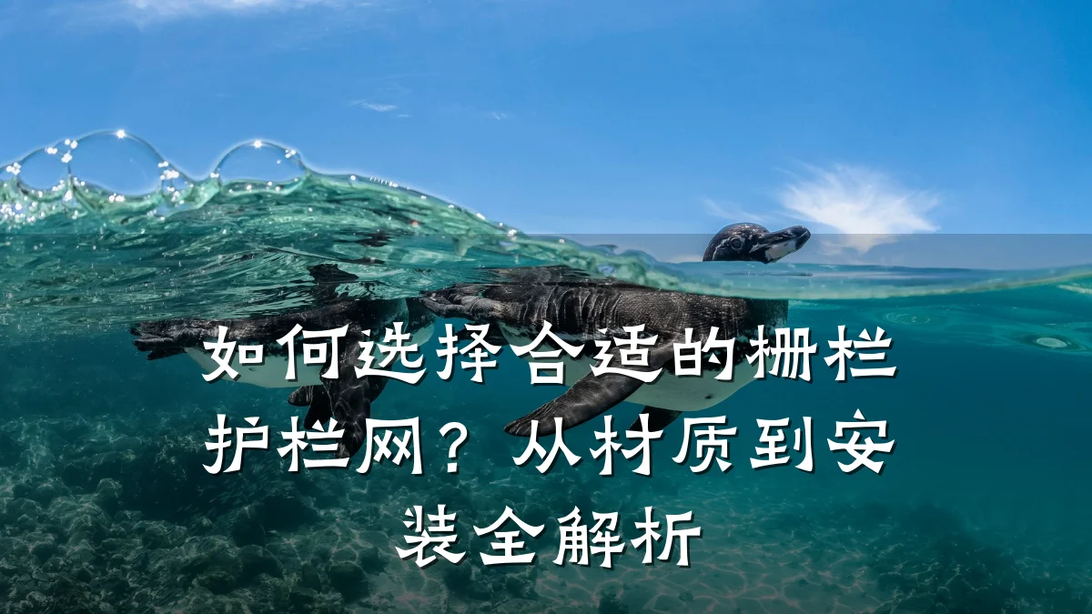 如何选择合适的栅栏护栏网？从材质到安装全解析