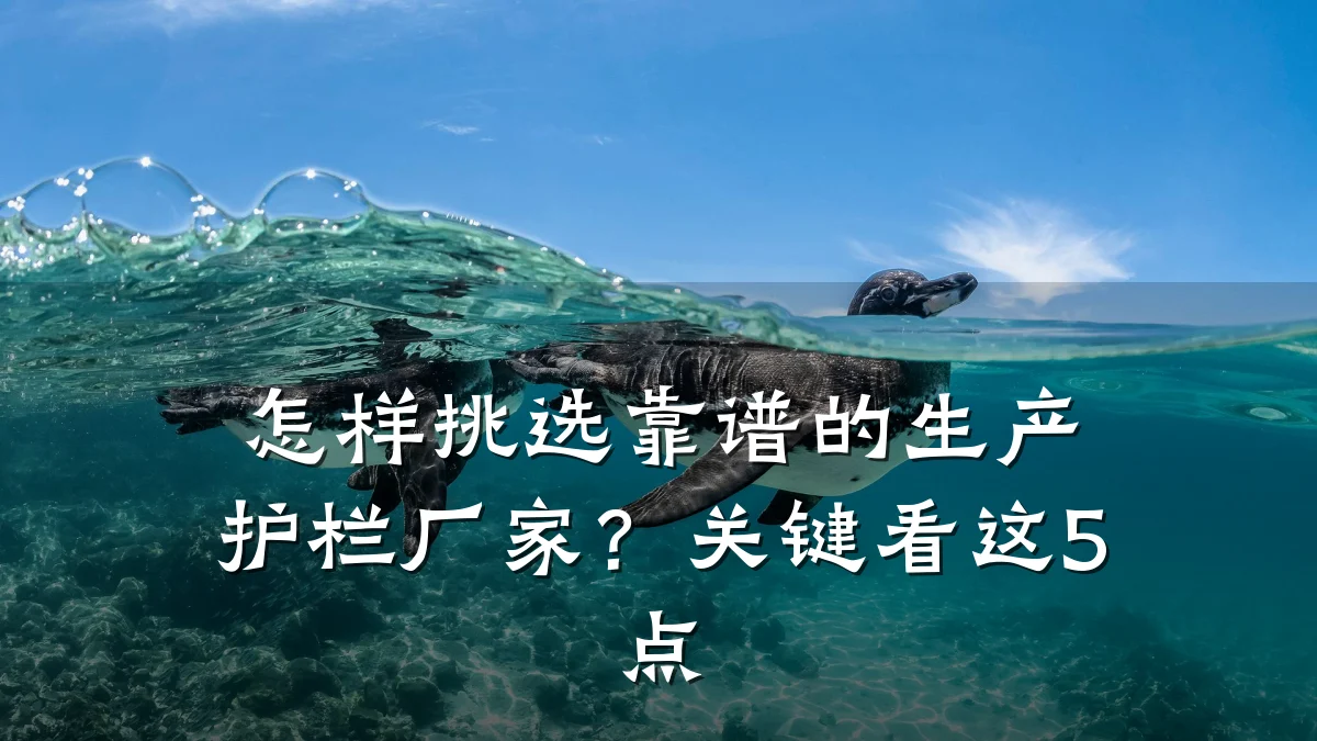 怎样挑选靠谱的生产护栏厂家？关键看这5点