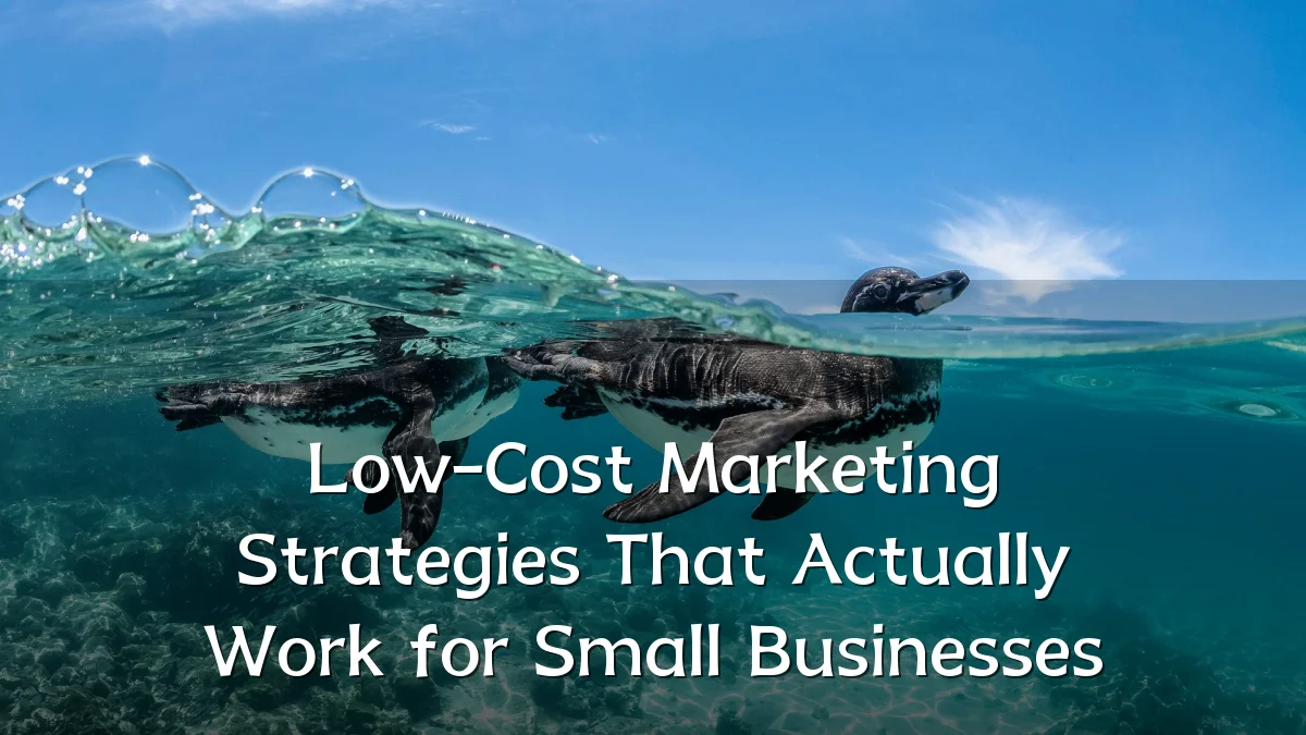 Low-Cost Marketing Strategies That Actually Work for Small Businesses