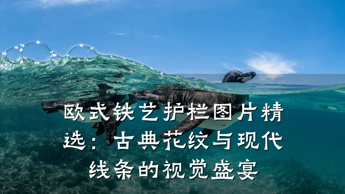 欧式铁艺护栏图片精选:古典花纹与现代线条的视觉盛宴