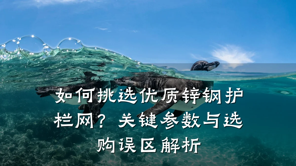 如何挑选优质锌钢护栏网？关键参数与选购误区解析