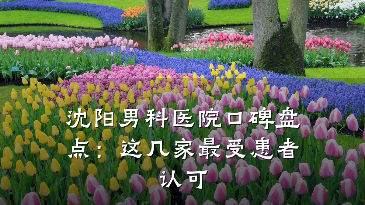 沈阳男科医院口碑盘点:这几家最受患者认可