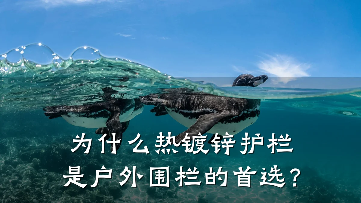 为什么热镀锌护栏是户外围栏的首选?